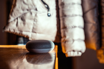 Smart ai speaker. Smart home concept 