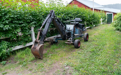 Old rusty small excavator stands on the green grass close to hedge, unknown model