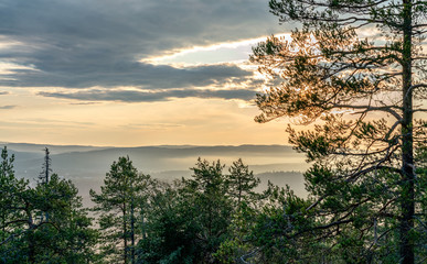View from the mountain top over foggy Scandinavian mountains with wild pine tree forest, Sun shines behind the pine tree, mountain ridges, summer day with heavy dramatic clouds, North Sweden