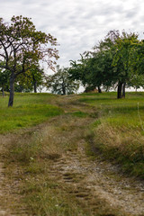 Feldweg