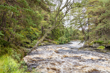 River Dee, Linn of Dee, Mar Lodge Estate, Aberdeenshire, Scotland