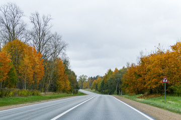 Autumn scene with winding asphalt road in the countryside. 