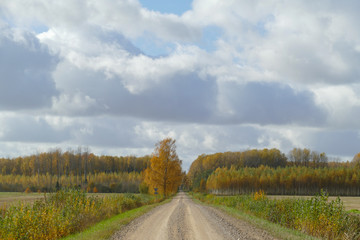 Autumn scene with winding asphalt road in the countryside. 
