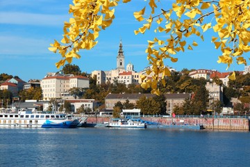 Belgrade city, Serbia. Autumn leaves.