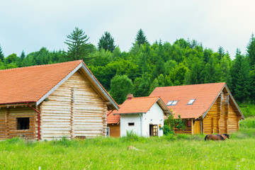 raw round log chalet build at the edge of the forest