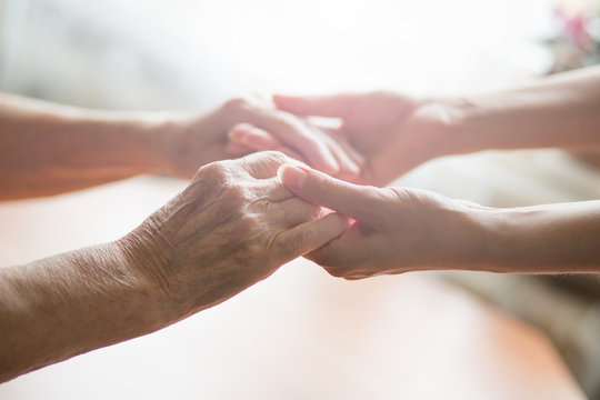 Young And Old Hands Hold Each Other. People Holding On To Each Other. Young And Old. The Concept Of Love Of A Young And Old Generation Of People.