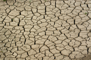 Cracks on dried soil