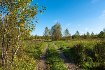 Fototapeta premium Beautiful autumn landscape with a dirt road on a sunny day.