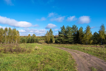 Fototapeta na wymiar Beautiful autumn landscape with a dirt road on a sunny day.