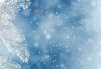 Beautiful snowy winter landscape with a snowy fir branch, snowflakes and blue sky. Winter christmas background.