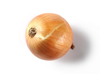 Fresh onion bulb isolated on white background, top view