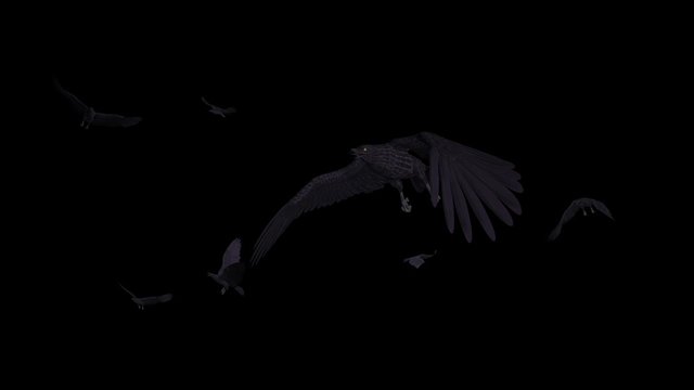 Black crows flying in flock over screen. Realistic 3D Full HD animation loop. Royaltyf free stock footage related to nature, forest, city, countryside, animals. birds, mystic, horror, magic, dream.