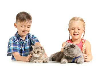 Fototapeta na wymiar Little children with cute cats on white background