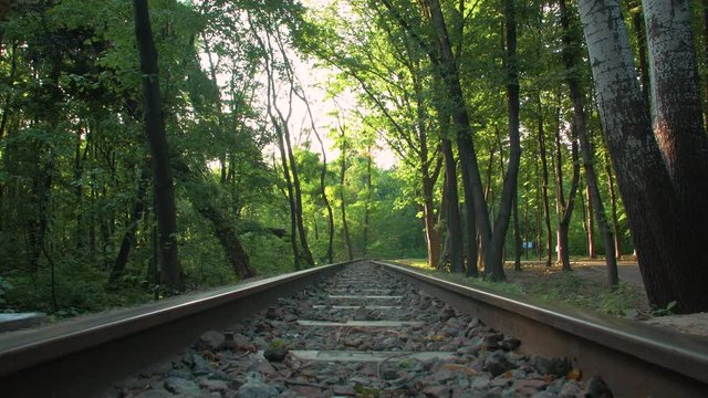 A Singl Railway In Forest