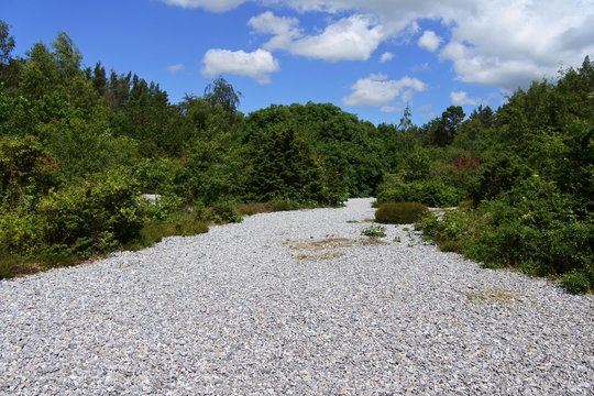 Feuersteinfelder im Wald auf der Insel R&uuml;gen