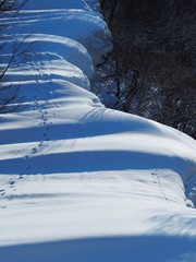 Obraz premium Niigata Japan Snow Mountains