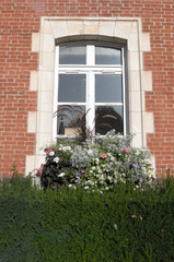 Fototapeta na wymiar fenêtre fleurie