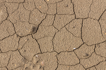 Drought, earth cracks, natural disasters