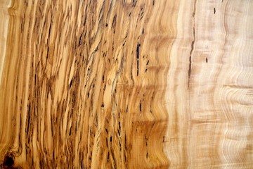 Texture Background of Wooden Wood