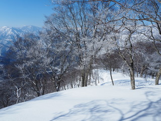 Niigata Japan Snow Mountains