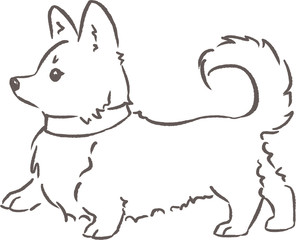 Shama the corgi goes with a collar. Dog behaviour and rules for owners. Hand drawn outline illustration.