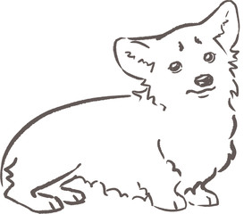 Shama the corgi in sad mood. Dog behaviour and rules for owners. Hand drawn outline illustration.