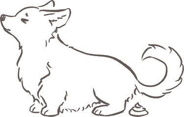 Shama the corgi poops. Dog behaviour and rules for owners. Hand drawn outline illustration.