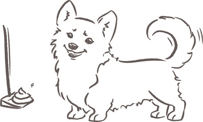 Shama the corgi and cleaning up after dog. Dog behaviour and rules for owners. Hand drawn outline illustration.
