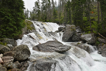 Waterfall and river in the tatra mountain, poland
