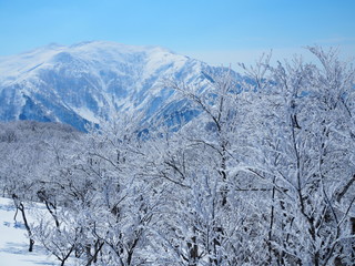 Niigata Japan Snow Mountains