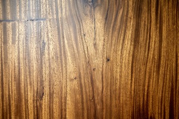 Texture Background of Wooden Wood
