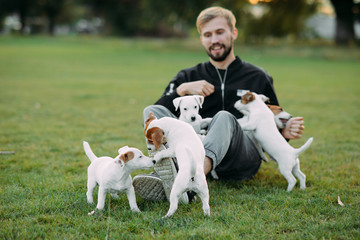 Young man plays with Jack Russell puppies.