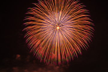 昭和記念公園_花火