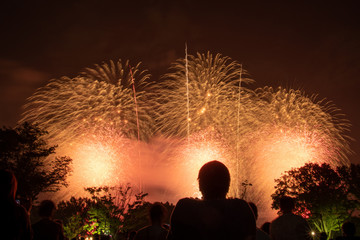 昭和記念公園_花火