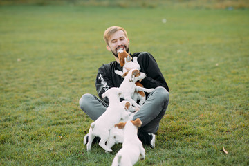 Young man plays with Jack Russell puppies.