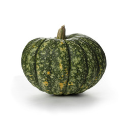 Big green pumpkin with yellow dots. Ripe pumpkin isolated on white background. Autumn pumpkin harvest.