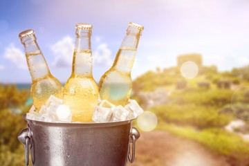 Bottles of cold and fresh beer with ice isolated