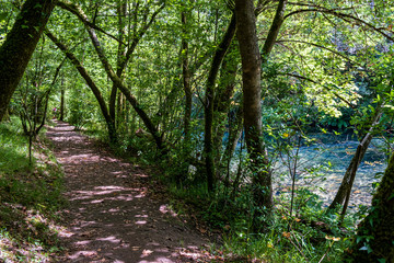 Arc natural Fragea de Eume, Galice, Espagne.
