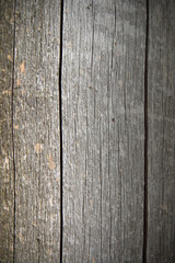 Dark brown wooden log texture. Wood background. Old raw wood.