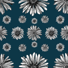 Hand drawn Gerbera flowers  - seamless pattern with blossom lines on navy blue background