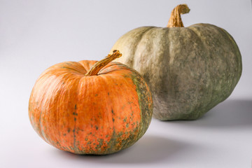 Pumpkins of green and orange on a white background with a shadow, Autumn still life, Halloween minimal concept, Horizontal orientation