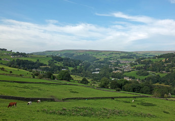 Fototapeta na wymiar a view of the village of cragg vale in the calder valley surrounded by trees and fields