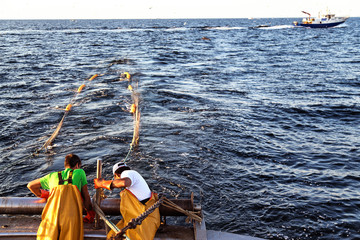 Pesca in mare Adriatico. Reti in acqua nella pesca a volante..