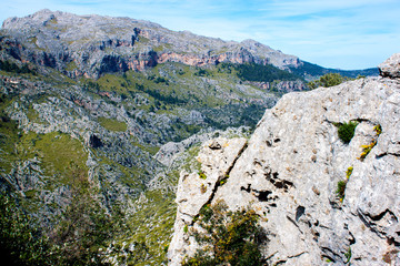 Fototapeta na wymiar Mallorca panorama view with Mountains and green forest and blue sky 