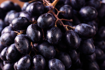 a bunch of black grapes with large berries closeup