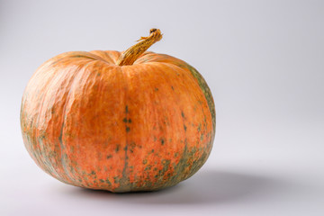 Pumpkin orange color on a white background with a shadow, Autumn still life, Halloween minimal concept, Horizontal orientation