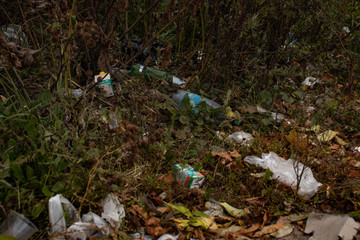 The acute problem of mankind is environmental pollution. Garbage in nature: plastic bags, glasses, paper and bottles. Ecological catastrophy.