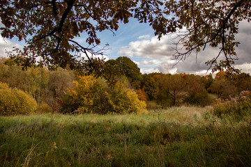Fototapeta premium Autumn landscape - colorful trees, field and forest on the horizon