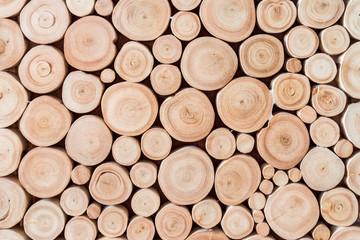 pile of wooden logs