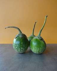 Three Thai Eggplant against a Gold Background